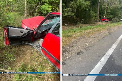 23-летняя водитель съехала в кювет, уходя от столкновения с лосем