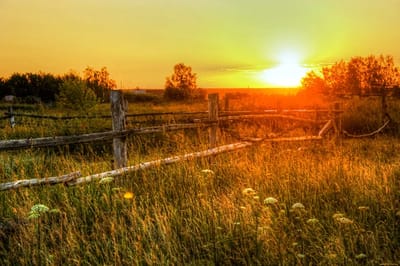 5 августа — Трофимов день: что нельзя делать, чтобы не накликать беду