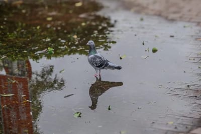 Август приносит прохладу и осадки: о погоде на Гродненщине 24-26 августа