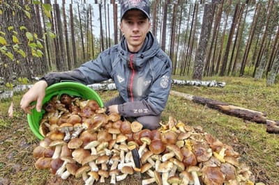 Белорус поставил рекорд: за день собрал 6 ведер грибов, 4 из которых – боровики