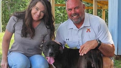 Бездомная собака с огромным сердцем: пес из приюта предотвратил беду на благотворительном мероприятии