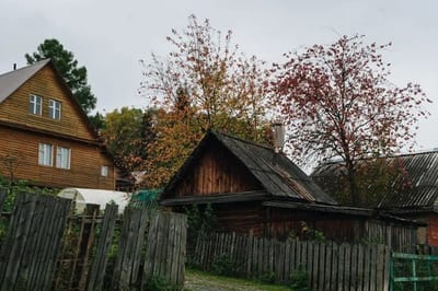 Бездомный мужчина вышел из тюрьмы, поселился на даче и начал воровать: под Гродно задержан серийный дачный вор