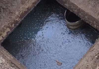 Бросил пучок — и выгребная яма ожила: вода ушла, запаха нет