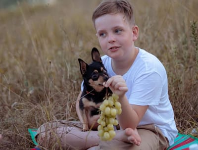 Будьте осторожны: эти 10 продуктов никогда нельзя давать собакам