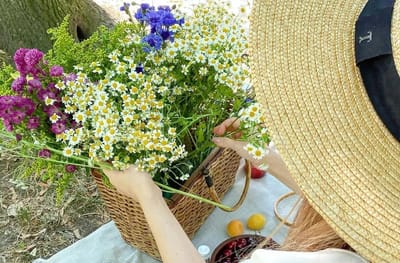 Через неделю у белорусов начнутся длинные выходные. Как будем отдыхать на День Независимости