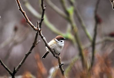 Что будет с погодой на Гродненщине 7-9 декабря