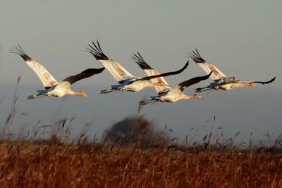 Что можно и чего нельзя делать в день Фотия и Аникиты