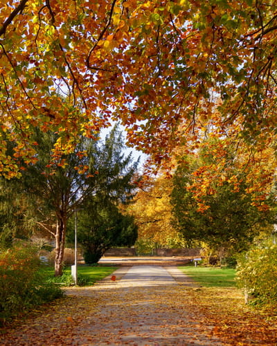 Что нельзя делать в Луков день 20 сентября, чтобы не накликать беду
