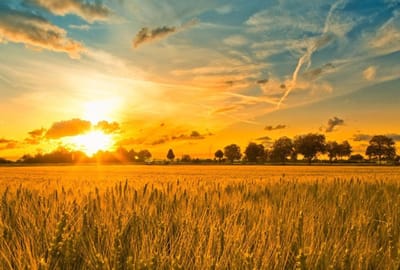 Что нужно сделать в день летнего солнцестояния, чтобы привлечь удачу?