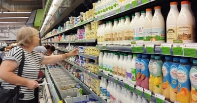 Цены на молочные продукты в Слониме: что почем в магазинах