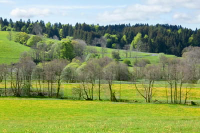 День, когда нельзя грустить: 1 июля — праздник солнца и тепла