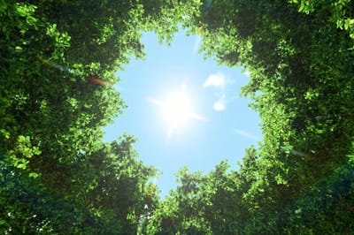 День Мирона 30 августа: что важно сделать и чего нельзя