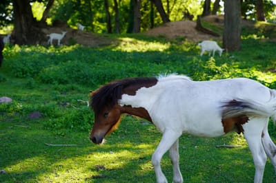 Для тех, кто ищет отдых без суеты, в Слонимском районе есть одно местечко