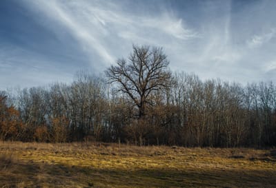 До +7 градусов. О погоде на Гродненщине 2-4 декабря