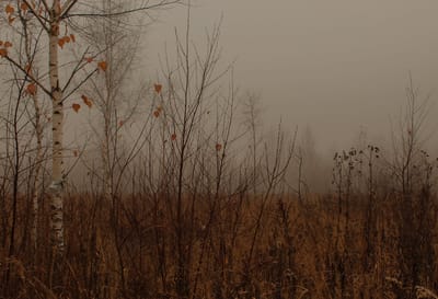 Дожди, местами сильные: о погоде на Гродненщине 8-10 декабря