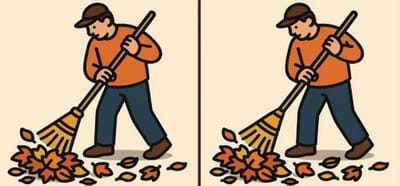 Если найдёте 3 отличия — ваш мозг работает лучше, чем вы думаете