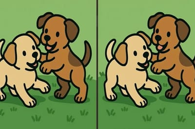 Если увидите 3 отличия за 51 секунду — ваш мозг работает как компьютер