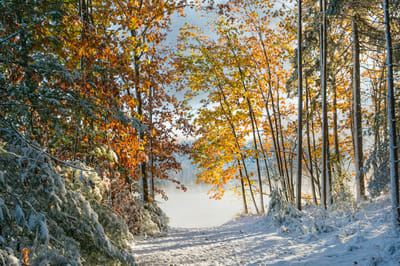 Эта народная примета 18 октября вернее синоптиков предскажет, когда ляжет снег