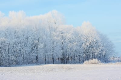 Эта примета 8 ноября подскажет, будет ли зима снежной и холодной
