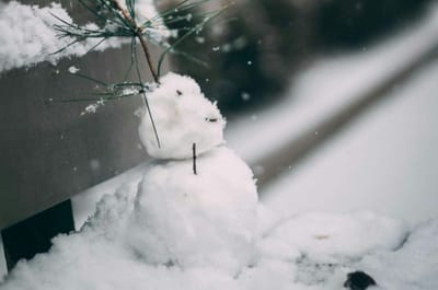 Эта зима удивит всех: 3 простые подсказки уже дают точный прогноз