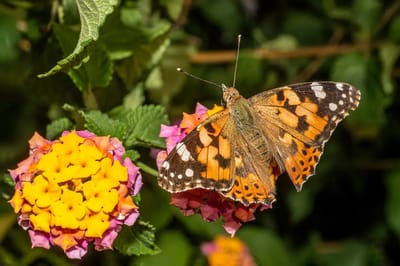 Гром и молнии разразятся сегодня ночью. О погоде на Гродненщине 23-25 июля