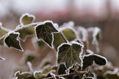 Холод и заморозки: о погоде на Гродненщине 3-5 октября