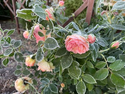 Холод наступает на Гродненщину. Когда ждать минусовых температур?