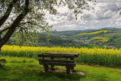 Хотите, чтобы лето было удачным? Не проспите 1 июня