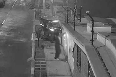 Инстинкт или отвага? Собака бросилась на динамит, чтобы спасти хозяев