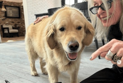 Известная актриса оставила своей собаке 5 миллионов долларов: в интернете обсуждают странное завещание