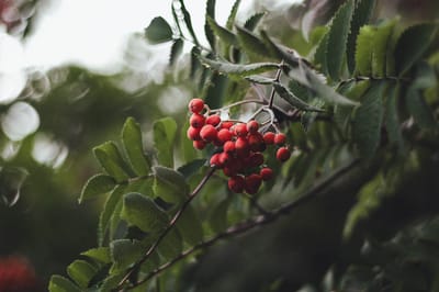 Каким выдался сентябрь 2025 года на Гродненщине: климатическая характеристика