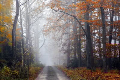 Какой будет погода в Гродненской области 9-11 ноября