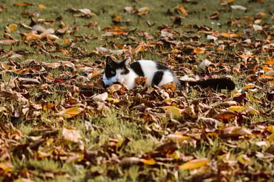 Какой будет погода в Гродненской области с 7 по 9 октября