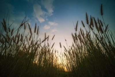 Какой погоды ждать жителям Гродненщины 7-9 августа