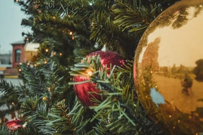 Католическое Рождество, Новый год и православное Рождество: белорусов ждут большие выходные в конце года