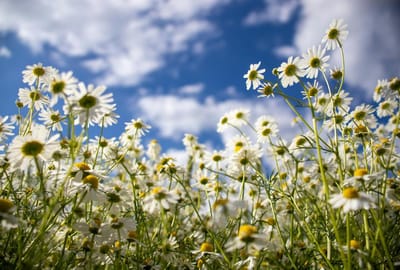 Кириллов день принесёт удачу, если соблюдать эти 5 правил