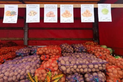 Клюква, лисички, картофель. Почем продавал продукцию на сельхозярмарке Белкоопсоюз