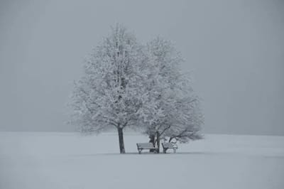 Когда снег — не снег: синоптики рассказали о зимнем феномене