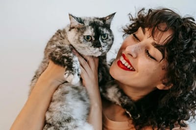 Кто на самом деле счастливее — владельцы собак или кошек? Ответ вас удивит