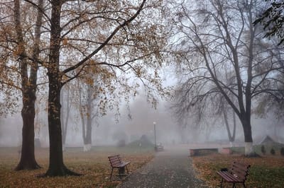 О погоде в Гродненской области 11-13 ноября