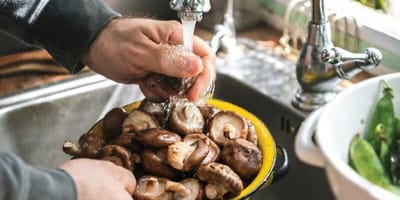 Лайфхак с грибами к новогоднему столу, Лошадь точно «отдаст» свои подковы