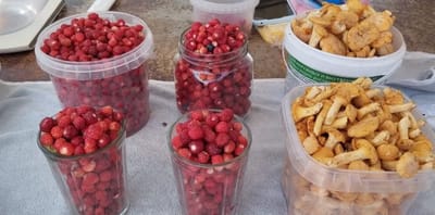 Лисички и земляника. Сколько стоят лесные дары на рынке в Слониме