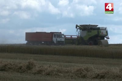 Механизатор слил 200 литров топлива. Милиция проверяет аграрный сектор