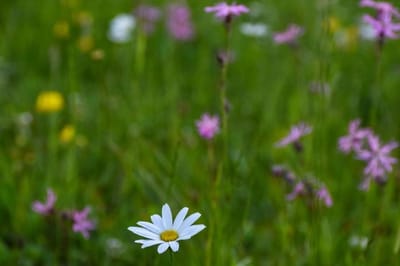 Мокрые выходные. О погоде на Гродненщине 26-28 июля
