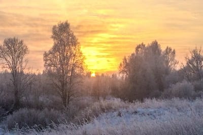 Мороз или оттепель? Какая будет зима по приметам Андреева дня 13 декабря