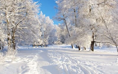 Мороз или оттепель? Узнаём по приметам, что готовит погода