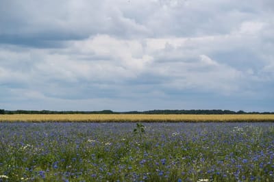 На Гродненщину придет жара. Когда ожидать?