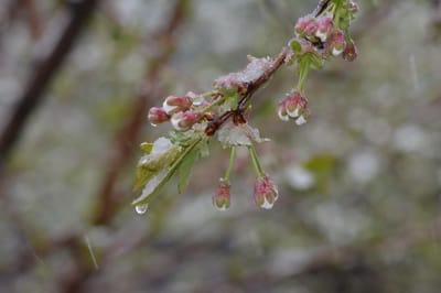 На Гродненщину возвращается 5-градусный мороз. Когда ждать?