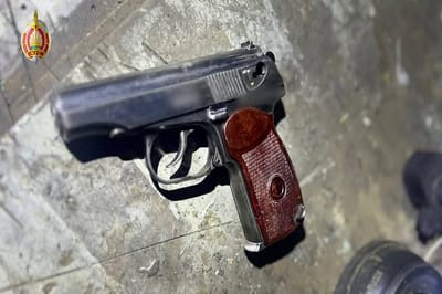 На Могилёвщине задержали пенсионеров с арсеналом оружия