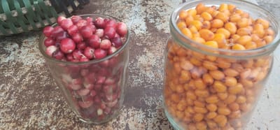 На слонимском рынке появилась первая клюква: смотрим цены на сезонные овощи и фрукты